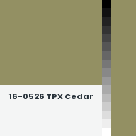 Color chip: 16-0526 TPX Cedar