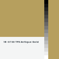 Color chip: 16-0730 TPX Antique Gold