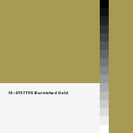 Color chip: 16-0737 TPX Burnished Gold
