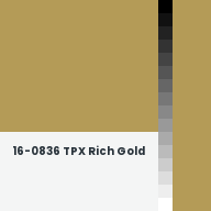 Color chip: 16-0836 TPX Rich Gold