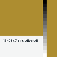 Color chip: 16-0847 TPX Olive Oil