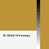 Color chip: 16-0946 TPX Honey