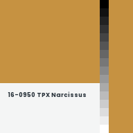 Color chip: 16-0950 TPX Narcissus