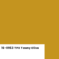 Color chip: 16-0953 TPX Tawny Olive