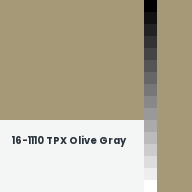 Color chip: 16-1110 TPX Olive Gray