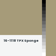 Color chip: 16-1118 TPX Sponge