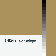 Color chip: 16-1126 TPX Antelope