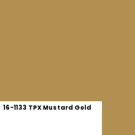 Color chip: 16-1133 TPX Mustard Gold