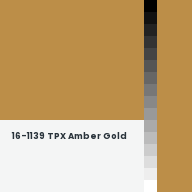 Color chip: 16-1139 TPX Amber Gold