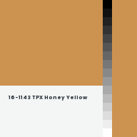 Color chip: 16-1143 TPX Honey Yellow
