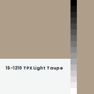 Color chip: 16-1210 TPX Light Taupe