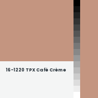Color chip: 16-1220 TPX Café Crème