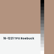 Color chip: 16-1221 TPX Roebuck