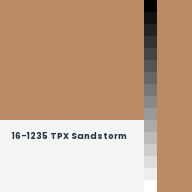 Color chip: 16-1235 TPX Sandstorm