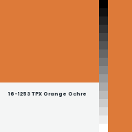 Color chip: 16-1253 TPX Orange Ochre