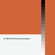 Color chip: 16-1260 TPX Harvest Pumpkin