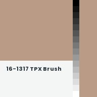 Color chip: 16-1317 TPX Brush