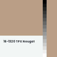 Color chip: 16-1320 TPX Nougat