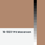 Color chip: 16-1323 TPX Macaroon