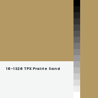 Color chip: 16-1326 TPX Prairie Sand