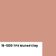 Color chip: 16-1330 TPX Muted Clay