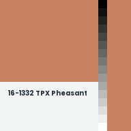 Color chip: 16-1332 TPX Pheasant