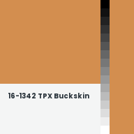 Color chip: 16-1342 TPX Buckskin
