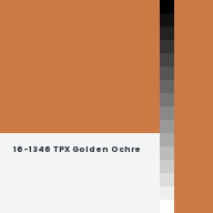 Color chip: 16-1346 TPX Golden Ochre