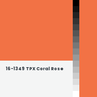 Color chip: 16-1349 TPX Coral Rose
