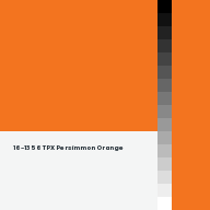 Color chip: 16-1356 TPX Persimmon Orange