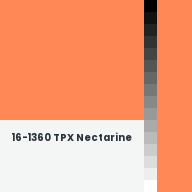 Color chip: 16-1360 TPX Nectarine