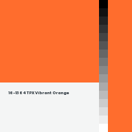 Color chip: 16-1364 TPX Vibrant Orange