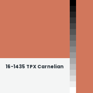 Color chip: 16-1435 TPX Carnelian
