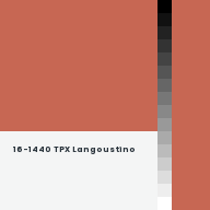 Color chip: 16-1440 TPX Langoustino