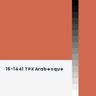 Color chip: 16-1441 TPX Arabesque