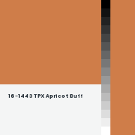 Color chip: 16-1443 TPX Apricot Buff