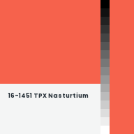 Color chip: 16-1451 TPX Nasturtium