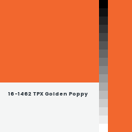 Color chip: 16-1462 TPX Golden Poppy