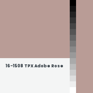Color chip: 16-1508 TPX Adobe Rose