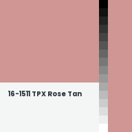 Color chip: 16-1511 TPX Rose Tan