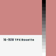 Color chip: 16-1518 TPX Rosette