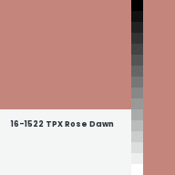 Color chip: 16-1522 TPX Rose Dawn