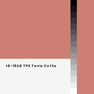 Color chip: 16-1526 TPX Terra Cotta