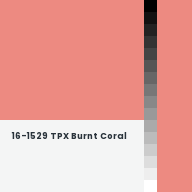 Color chip: 16-1529 TPX Burnt Coral