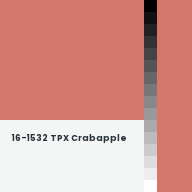 Color chip: 16-1532 TPX Crabapple