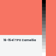 Color chip: 16-1541 TPX Camellia