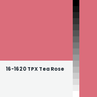 Color chip: 16-1620 TPX Tea Rose