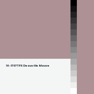 Color chip: 16-1707 TPX Deauville Mauve
