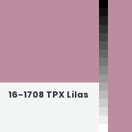 Color chip: 16-1708 TPX Lilas