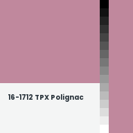 Color chip: 16-1712 TPX Polignac